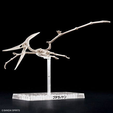 Bandai Plannosaurus Pteranodon 2665828