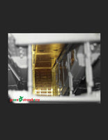 Green Strawberry Combo Pack Millennium Falcon PG FP03