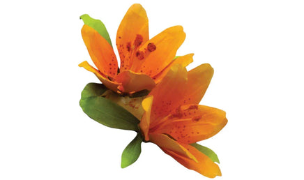 Woodland Paper Flower Pollen - Orange T4646