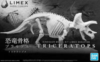 Bandai Limex Skeleton Triceratops 2569527