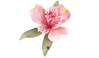 Woodland Paper Flower Pollen - Red T4647