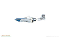 1/48 Eduard P-51D-5 8th AF for EDUARD D48085