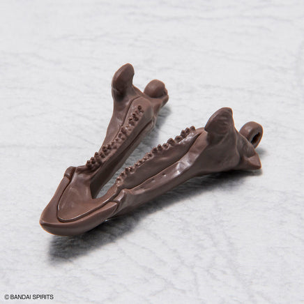 1/32 Bandai Imaginary Skeleton Triceratops 2569328