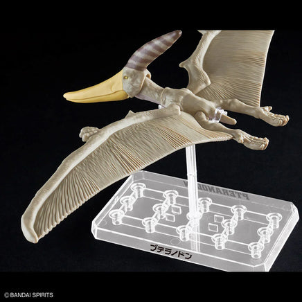 Bandai Plannosaurus Pteranodon 2665828