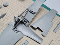 1/35 Border Model Focke-Wulf FW-190A-6 BF003