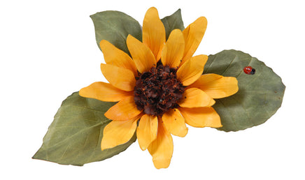 Woodland Paper Flower Pollen - Brown T4642