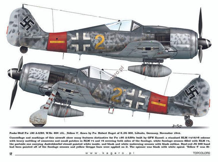 Kagero Publishing Fw 190s over Europe Part I Book 15035