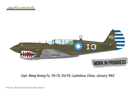 1/48 Eduard P-40N Warhawk Royal Class Plastic Model Kit R0025