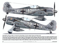 Kagero Publishing Fw 190s over Europe Part I Book 15035