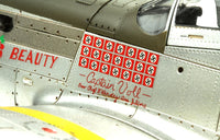 1/48 Meng P-51D Mustang Fighter LS004