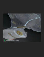 1/1400 Green Strawberry Galaxy Class NCC-1701-D - Fruit Pack BFP27