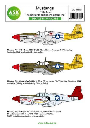1/48 Art Scale P-51B Mustang - The Bastards Behind the Enemy Lines! 48056
