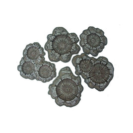 Pegasus 22mm Craters Painted 5215