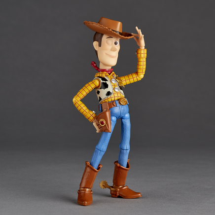 Kaiyodo Revoltech Woody Ver. 2.0 NR044