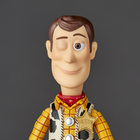 Kaiyodo Revoltech Woody Ver. 2.0 NR044