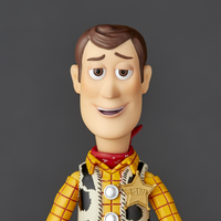 Kaiyodo Revoltech Woody Ver. 2.0 NR044
