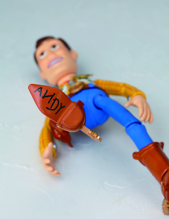 Kaiyodo Revoltech Woody Ver. 2.0 NR044