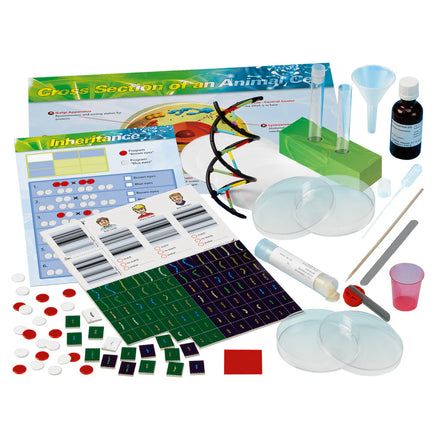 Thames & Kosmos Genetics & DNA Lab STEM Experiment Kit 665007