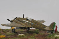 1/48 Special Hobby IMAM (Romeo) Ro-57bis Italian Fighter Bomber