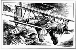 1/48 Planet Models Arado Ar 95 (Land)