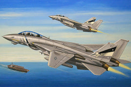 1/72 Hobby Boss F-14D Super Tomcat