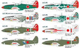 1/48 Lifelike Decals 244th Sentai p-3
