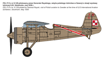 1/32 IBG Models PZL P.11c Polish Fighter “Rare Birds” 32004