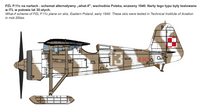 1/32 IBG Models PZL P.11c Polish Fighter “Rare Birds” 32004