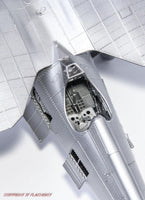 1/32 IBG Models PZL P.11c Polish Fighter “Rare Birds” 32004