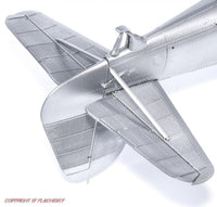 1/32 IBG Models PZL P.11c Polish Fighter “Rare Birds” 32004