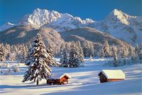 Tomax Puzzles 1000pc Snowy Season