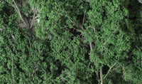 Woodland Fine-Leaf Foliage Dark Green 1130 - MPM Hobbies