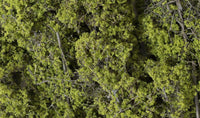 Woodland Fine-Leaf Foliage Light Green 1132 - MPM Hobbies