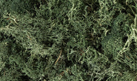 Woodland Lichen - Dark Green 164 - MPM Hobbies