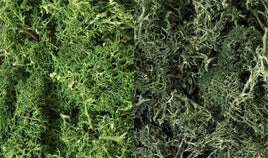 Woodland Lichen - Dark Green Mix 168 - MPM Hobbies