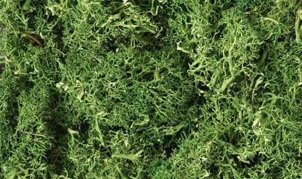 Woodland Lichen - Medium Green 163 - MPM Hobbies
